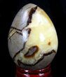 Polished Septarian Egg #41792-1